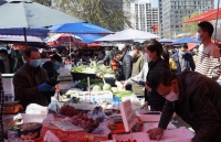 my tour tranh dich covid 19 tren dao noi giua bien