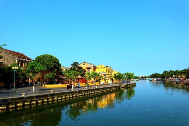 hoa giay ruc ro pho co hoi an giua mua dich covid 19