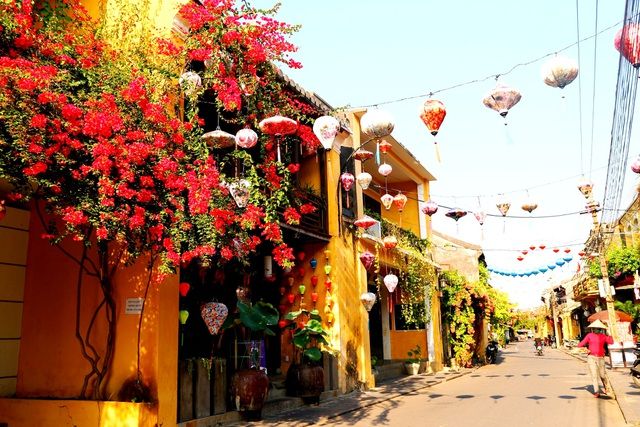 hoa giay ruc ro pho co hoi an giua mua dich covid 19