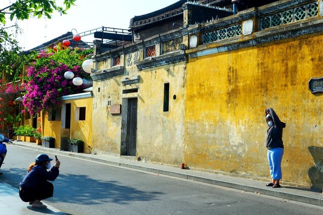 hoa giay ruc ro pho co hoi an giua mua dich covid 19