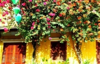 hinh anh nuoc anh phong toa toan quoc de chong covid 19