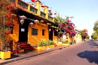 Việt Nam có thể sẽ không đón thêm khách quốc tế đến hết năm 2020?