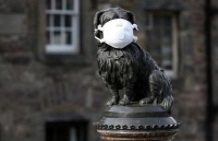 nhung hinh anh hoan hao den kho tin trong cuoc song