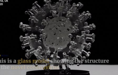 Ngắm tác phẩm điêu khắc virus corona to gấp 2 triệu lần so với thực tế