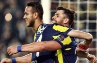 tan chay voi nhung khoanh khac tinh cam than thiet cua cho va meo