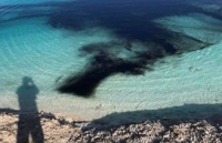 bi an ho nuoc chua hang trieu con sua bien