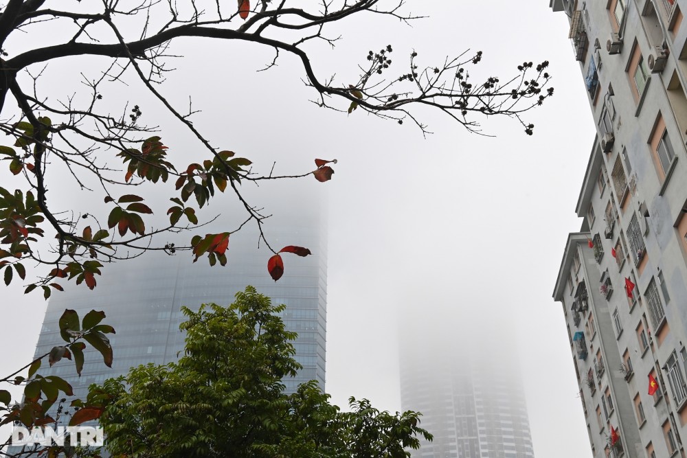 Dự báo thời tiết 3 ngày tới (2-4/3): Bắc Bộ trời rét; Trung Bộ đêm mưa vài nơi; Tây Nguyên và Đông Nam Bộ có nơi nắng nóng Dự báo thời tiết 3 ngày tới (2-4/3): Bắc Bộ trời rét; Trung Bộ đêm mưa vài nơi; Tây Nguyên và Đông Nam Bộ có nơi nắng nóng