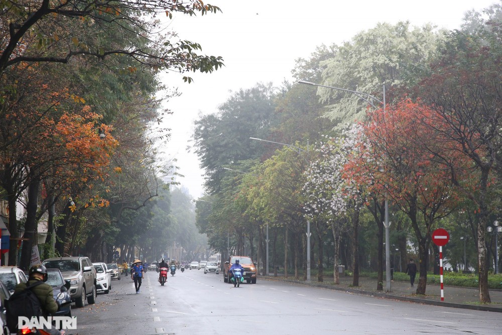 Dự báo thời tiết đêm nay và ngày mai (2-3/3): Đông Bắc Bộ và Thanh Hóa trời rét; Trung Trung Bộ mưa rào rải rác; Đông Nam Bộ có nơi nắng nóng Dự báo thời tiết đêm nay và ngày mai (2-3/3): Đông Bắc Bộ và Thanh Hóa trời rét; Trung Trung Bộ mưa rào rải rác; Đông Nam Bộ có nơi nắng nóng