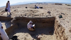 Tìm thấy nghĩa địa thú cưng 2.000 năm tuổi lâu đời nhất thế giới