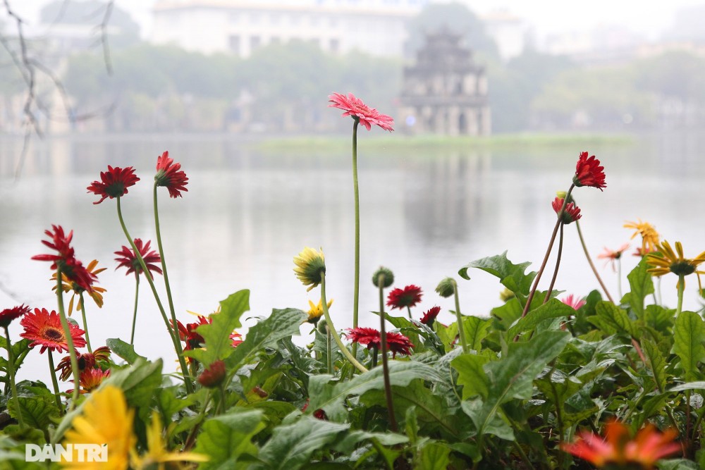 Dự báo thời tiết đêm nay và ngày mai (3-4/3): Đông Bắc Bộ trời rét, khu vực Tây Bắc, Bắc Trung Bộ mưa rào và dông; Đông Nam Bộ ngày nắng nóng Dự báo thời tiết đêm nay và ngày mai (3-4/3): Đông Bắc Bộ trời rét, khu vực Tây Bắc, Bắc Trung Bộ mưa rào và dông; Đông Nam Bộ ngày nắng nóng