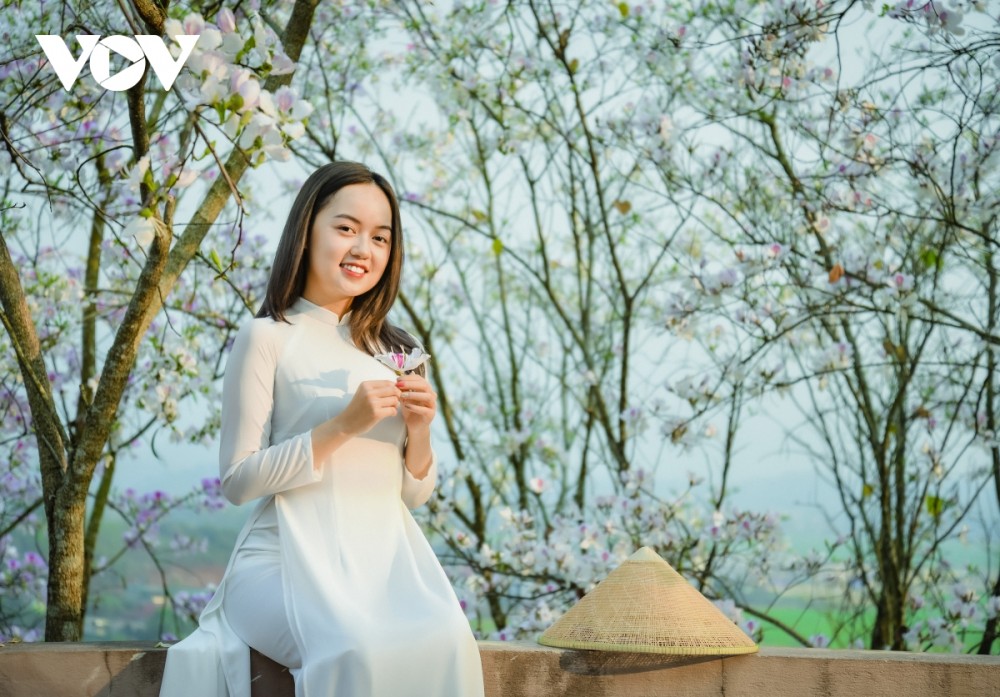 Đầu tháng 3 là thời điểm hoa ban tại Điện Biên nở rộ, cũng là thời điểm nhiều nghệ sĩ và người yêu nhiếp ảnh săn tìm những khoảnh khắc đẹp.