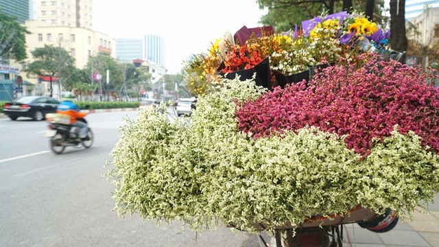 Cận ngày 8/3, hoa tươi bán dọc vỉa hè, tiểu thương "đứng ngồi" chờ khách
