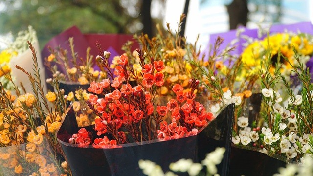 Cận ngày 8/3, hoa tươi bán dọc vỉa hè, tiểu thương "đứng ngồi" chờ khách