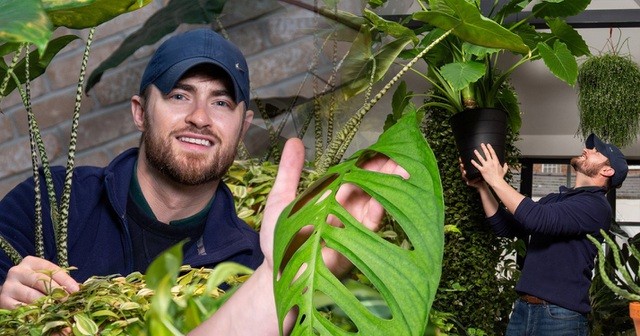 Bộ sưu tập cây quý hiếm với mỗi chiếc lá của cây đột biến có giá gần 400 triệu đồng