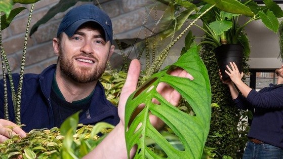 Bộ sưu tập cây quý hiếm với mỗi chiếc lá của cây đột biến có giá gần 400 triệu đồng