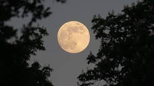 Mua nhà trên Mặt trăng có thể được nhưng sẽ vô cùng tốn kém Mua nhà trên Mặt trăng có thể được nhưng sẽ vô cùng tốn kém