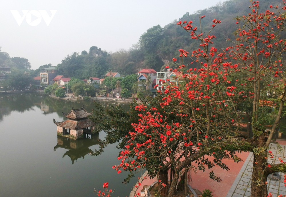 Hà Nội rực rỡ mùa hoa gạo thắp lửa