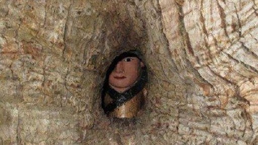 Trung Quốc: Bức tượng Phật nằm trong hốc cây long não hơn 1.000 năm tuổi