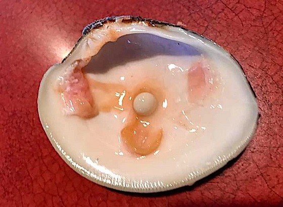 Cặp vợ chồng phát hiện viên ngọc trai đáng giá trong món khai vị