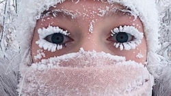 Nga: Cuộc sống trên mỏ kim cương ở nơi lạnh nhất thế giới