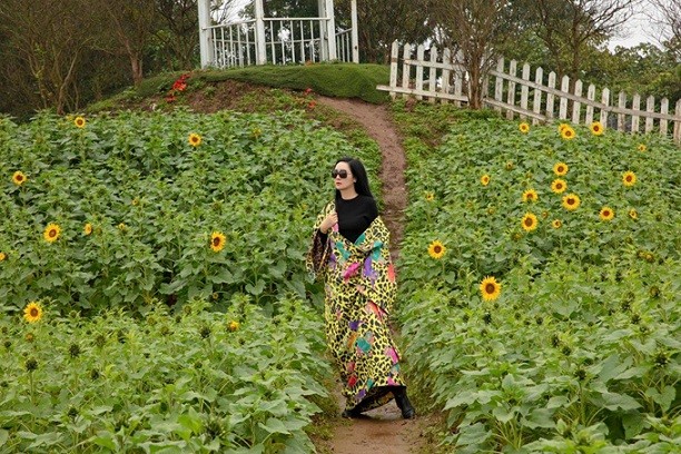 Thời trang đi du lịch trong nước của Hoa hậu Giáng My