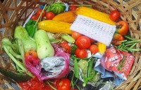 viet nam tham du trien lam quoc te halal tai malaysia