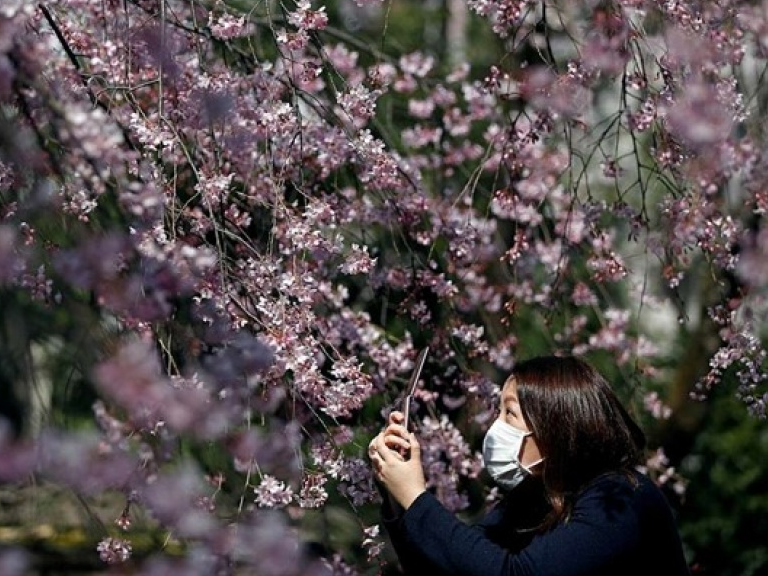 Hàng triệu người Nhật phụ thuộc vào khẩu trang do yếu tố tâm lý