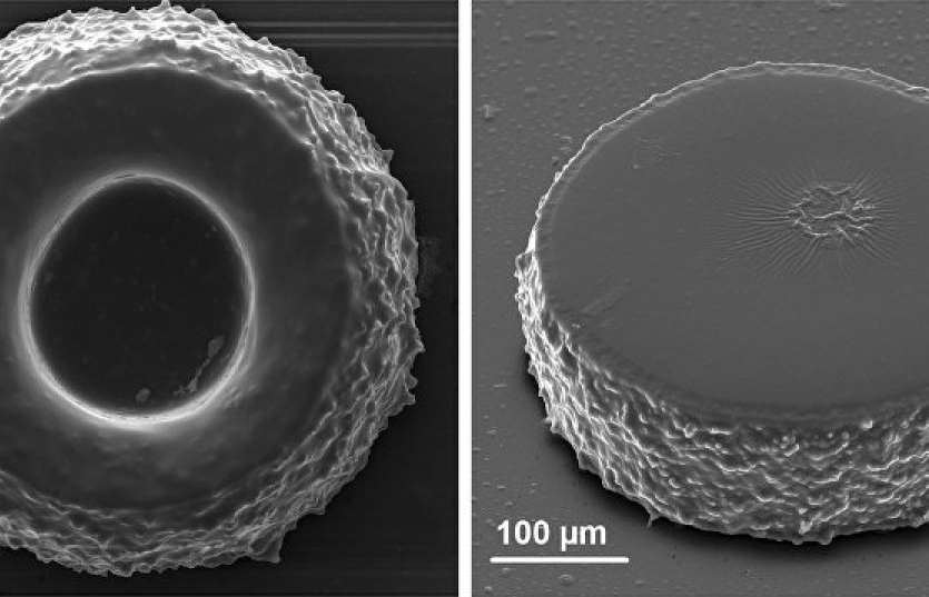 Nga chế tạo thành công máy in 3D “thực”
