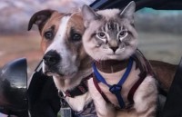 cristiano ronaldo soan ngoi selena gomez tren instagram