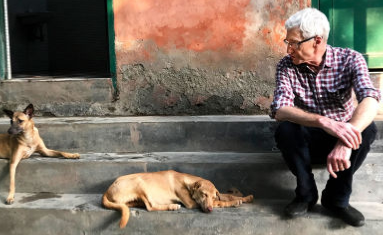 MC truyền hình suýt mất mạng vì tiếp xúc với chó hoang