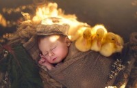 nhung buc anh chung minh khu rung co tich than tien o phan lan la co that