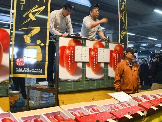 Nhật Bản: Cặp xoài "Trứng của Mặt trời" giá kỷ lục gần 4.500 USD