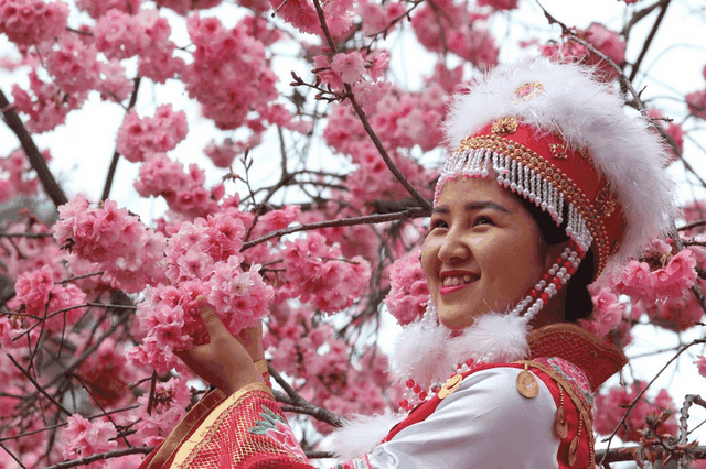 trung quoc 700000 cay anh dao no hoa dong loat giua thoi diem dich benh covid 19 hoanh hanh