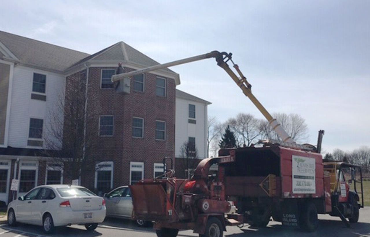 Dùng cần cẩu thăm mẹ qua đường cửa sổ tầng 3