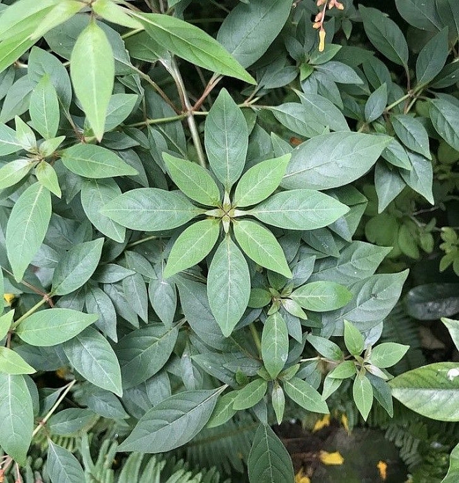 Những hình ảnh hoàn hảo đến khó tin trong cuộc sống nhung hinh anh hoan hao den kho tin trong cuoc song