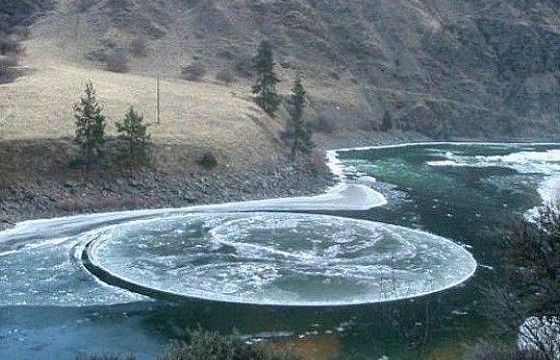 Những hình ảnh hoàn hảo đến khó tin trong cuộc sống