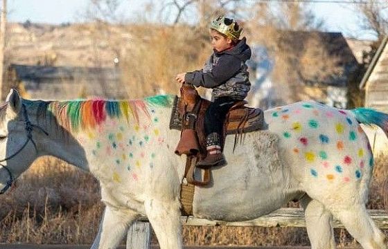 Xúc động những khoảnh khắc 'tình yêu luôn ở quanh ta'