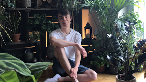 Anh: Thanh niên sở hữu bộ sưu tập 'khủng' 1400 cây cảnh trong nhà anh thanh nien so huu bo suu tap khung 1400 cay canh trong nha