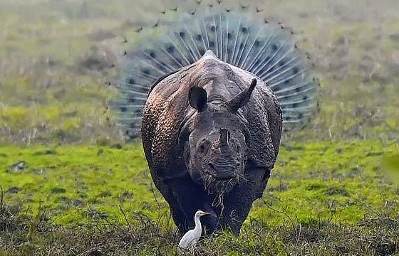 Cuộc sống thật là tươi đẹp với những khoảnh khắc hài hước này