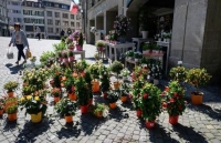 quy vo reinhard nu tien si miet mai so hoa y te