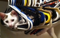 nhung buc anh dat giai tuyet dep trong cuoc thi nhiep anh phong canh 2020