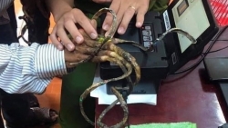 Người đàn ông có bộ móng tay dài nhất Việt Nam chưa làm được thẻ căn cước công dân gắn chíp điện tử