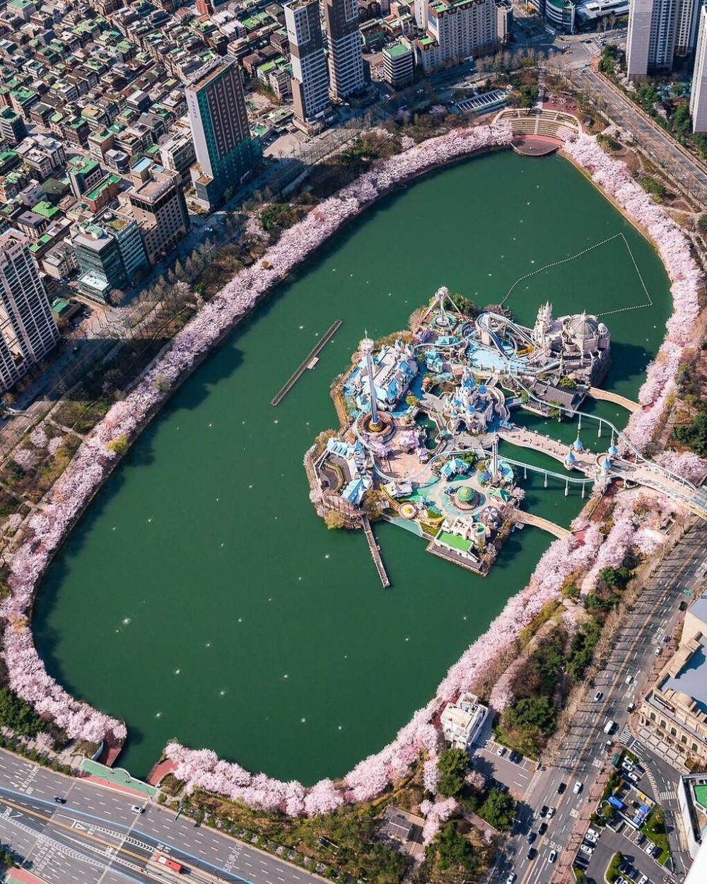 Hàn Quốc: 'Sợi dây chuyền khổng lồ' kết bằng hoa anh đào ở Seoul Hàn Quốc: 'Sợi dây chuyền khổng lồ' kết bằng hoa anh đào ở Seoul