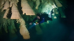 Bí ẩn chưa lời giải về thạch nhũ 5.000 năm trong hang động dưới nước được ví như chuông địa ngục