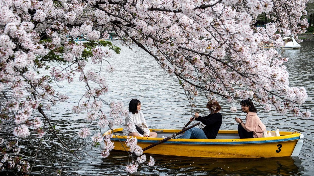 Một thoáng văn hóa Nhật Bản: Thiên nhiên đất nước mặt trời mọc