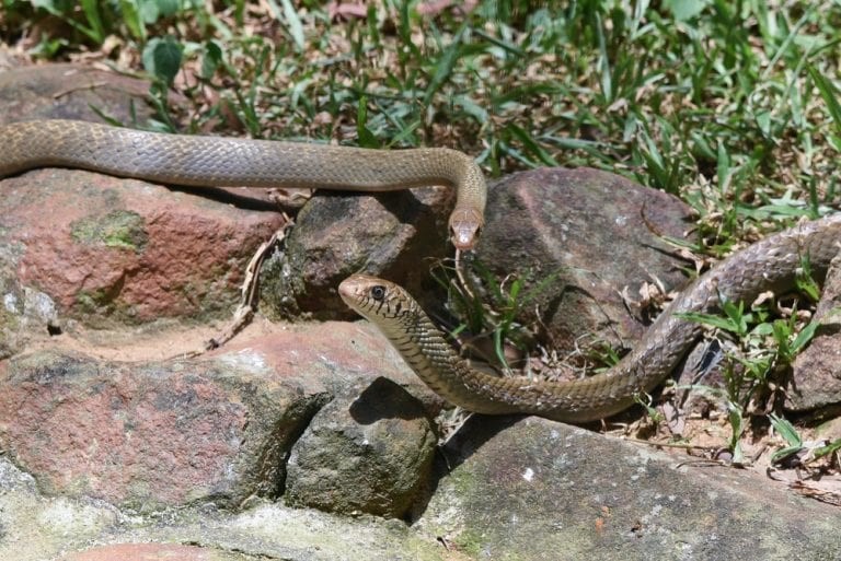 Điểm danh những nơi nguy hiểm nhất thế giới