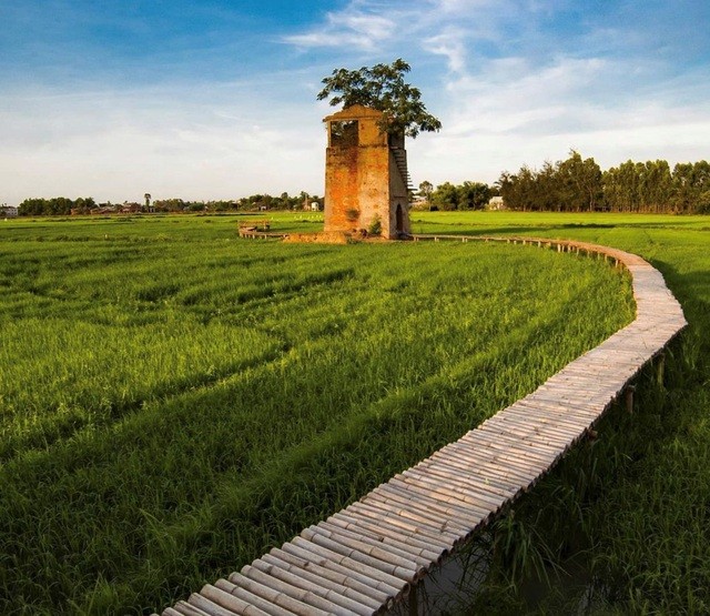 Độc đáo quán cà phê 'Lò gạch cũ' nằm giữa cánh đồng lúa xanh ngát