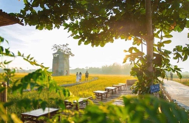 Độc đáo quán cà phê 'Lò gạch cũ' nằm giữa cánh đồng lúa xanh ngát