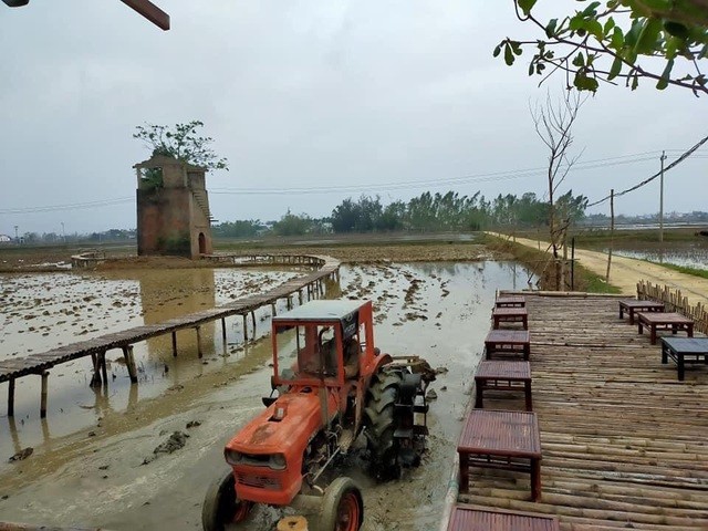 Độc đáo quán cà phê 'Lò gạch cũ' nằm giữa cánh đồng lúa xanh ngát