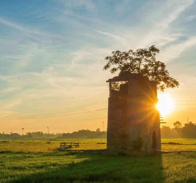 Độc đáo quán cà phê 'Lò gạch cũ' nằm giữa cánh đồng lúa xanh ngát